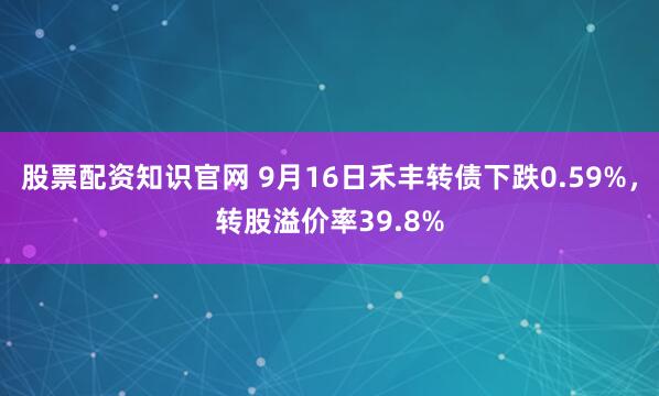 股票配资知识官网 9月16日禾丰转债下跌0.59%，转股溢价率39.8%