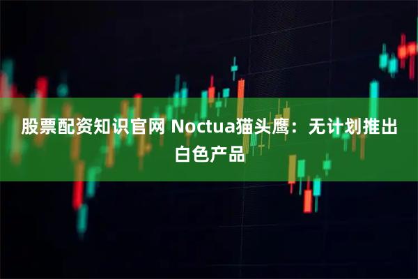 股票配资知识官网 Noctua猫头鹰：无计划推出白色产品