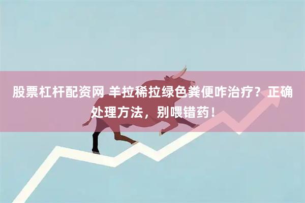 股票杠杆配资网 羊拉稀拉绿色粪便咋治疗？正确处理方法，别喂错药！